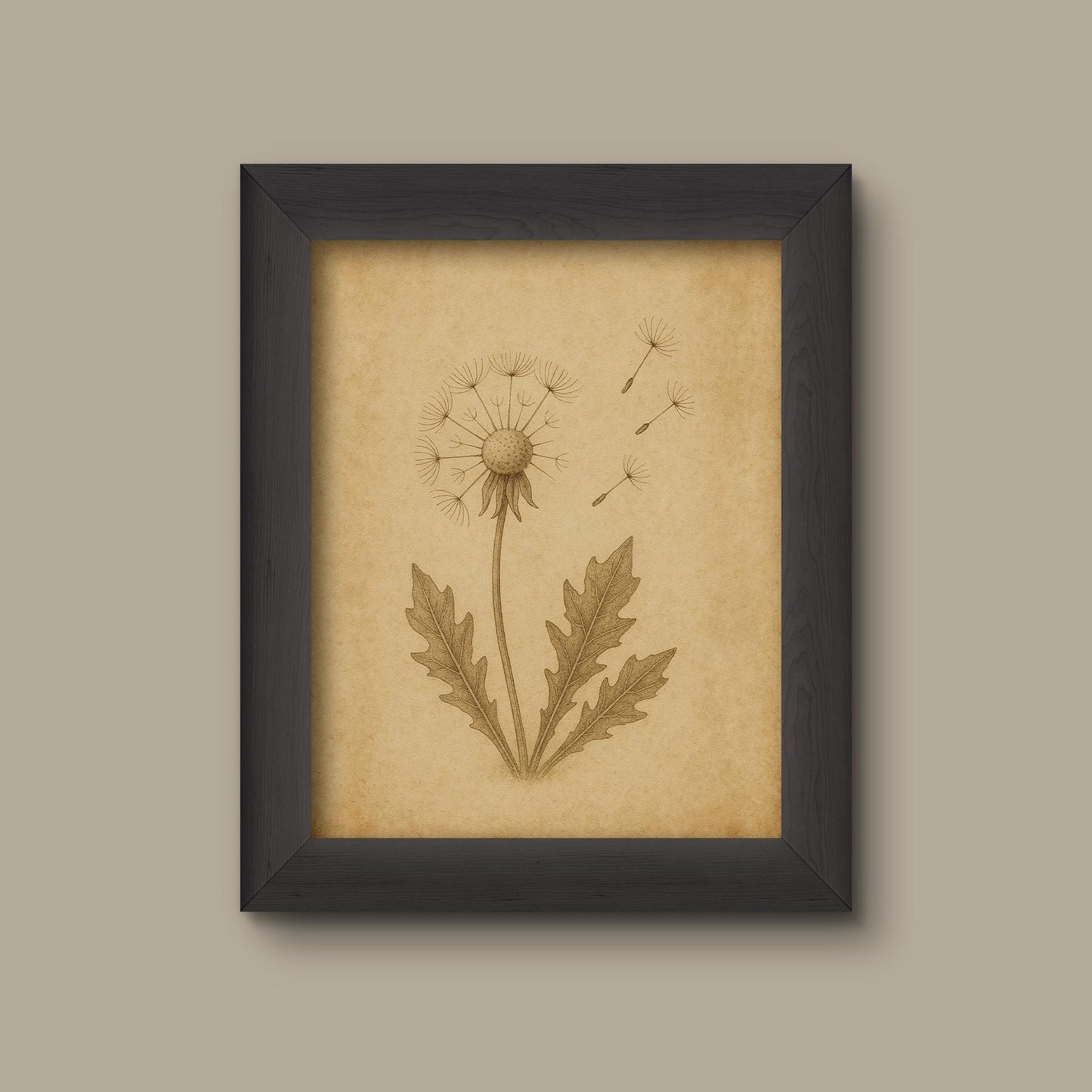 Vintage Dandelion Botanical Art Print | Fine Art Print