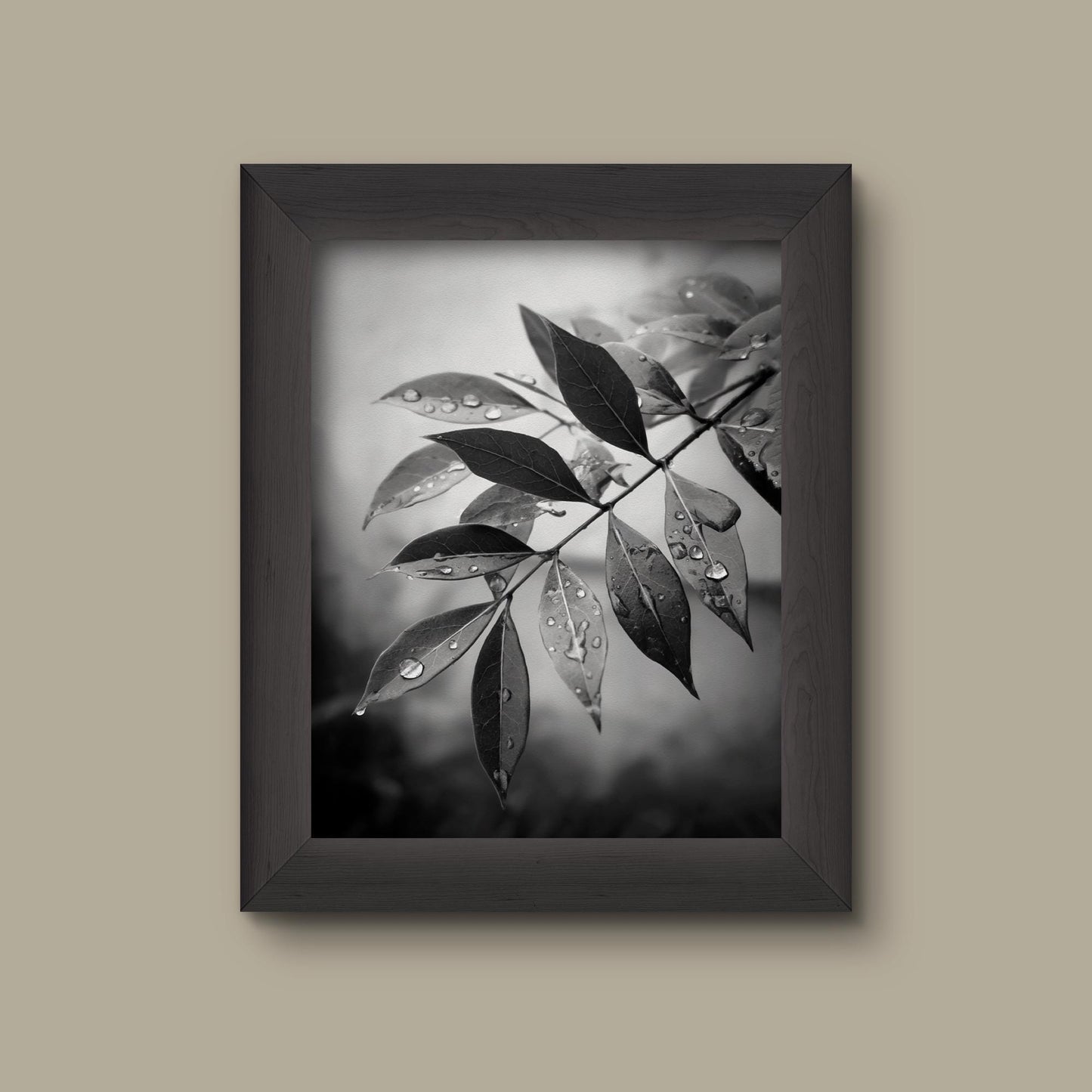 Black and White Botanical Art Print | Minimalist Leaf and Water Droplets Art | Modern Nature Wall Decor | Fine Art Print