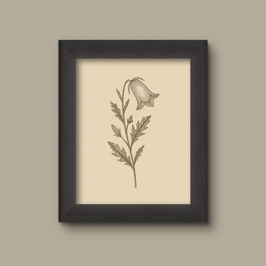 Vintage Bellflower Art Print | Floral Wall Decor | Botanical Flower Painting | Fine Art Print