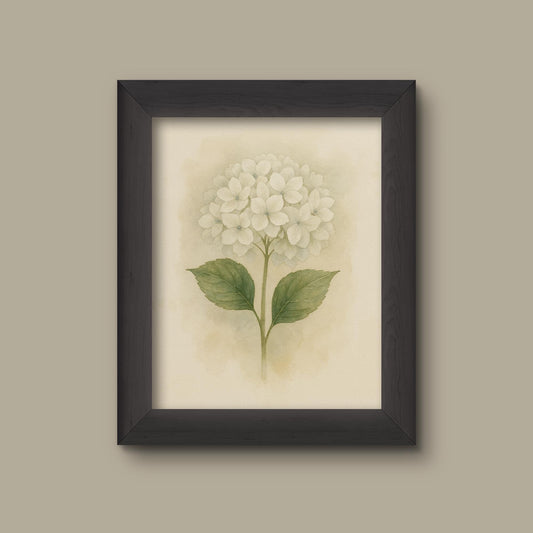 White Watercolor Hydrangea Art Print | Floral Wall Decor | Botanical Flower Painting | Fine Art Print