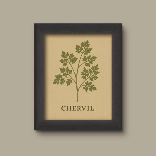 Vintage Chervil Herb Art Print | Botanical Kitchen Wall Decor | Fine Art Print