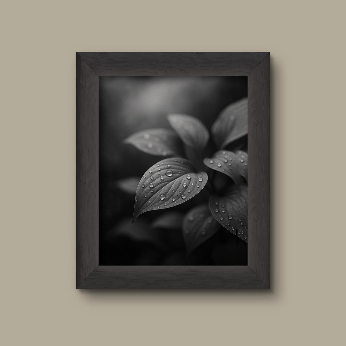 Black and White Botanical Leaf Art Print | Minimalist Nature Photography | Water Droplets Close-Up Wall Decor | Fine Art Print