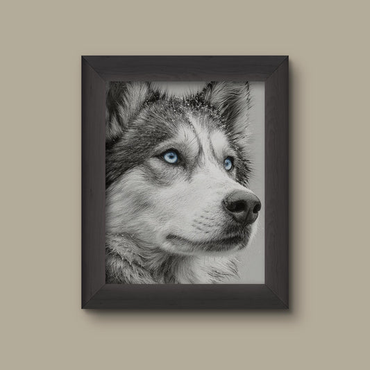 Snowy Husky Art Print | Fine Art Print