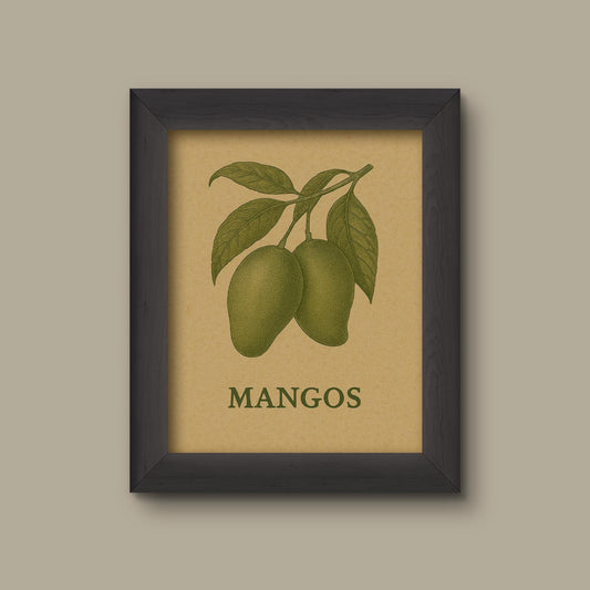 Vintage Mango Art Print | Monochrome Botanical Fruit Illustration | Rustic Tropical Kitchen Wall Decor | Fine Art Print