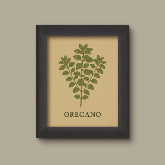 Vintage Oregano Herb Art Print | Botanical Kitchen Wall Decor | Fine Art Print