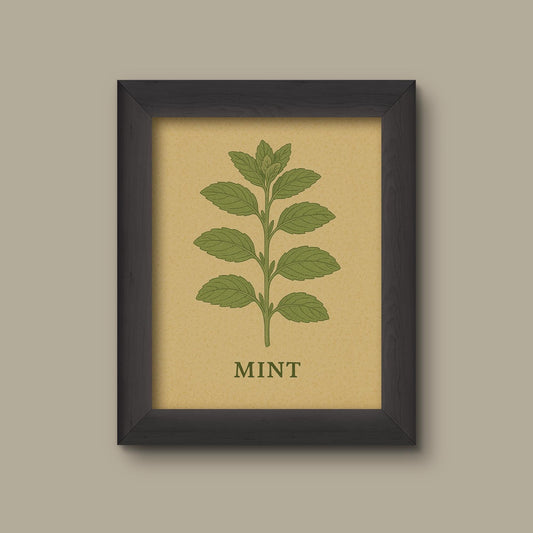 Vintage Mint Herb Art Print | Botanical Kitchen Wall Decor | Fine Art Print