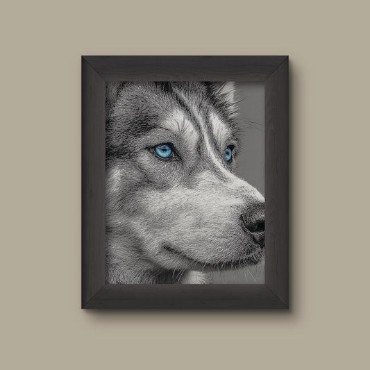 Husky Portrait Wall Art Print | Fine Art Print